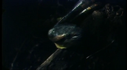 Serpent (2002)