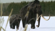 Walking with Beasts (2001)
