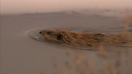 Yellowstone (2009)