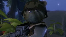 Private army bear