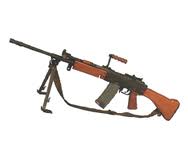 INSAS LMG