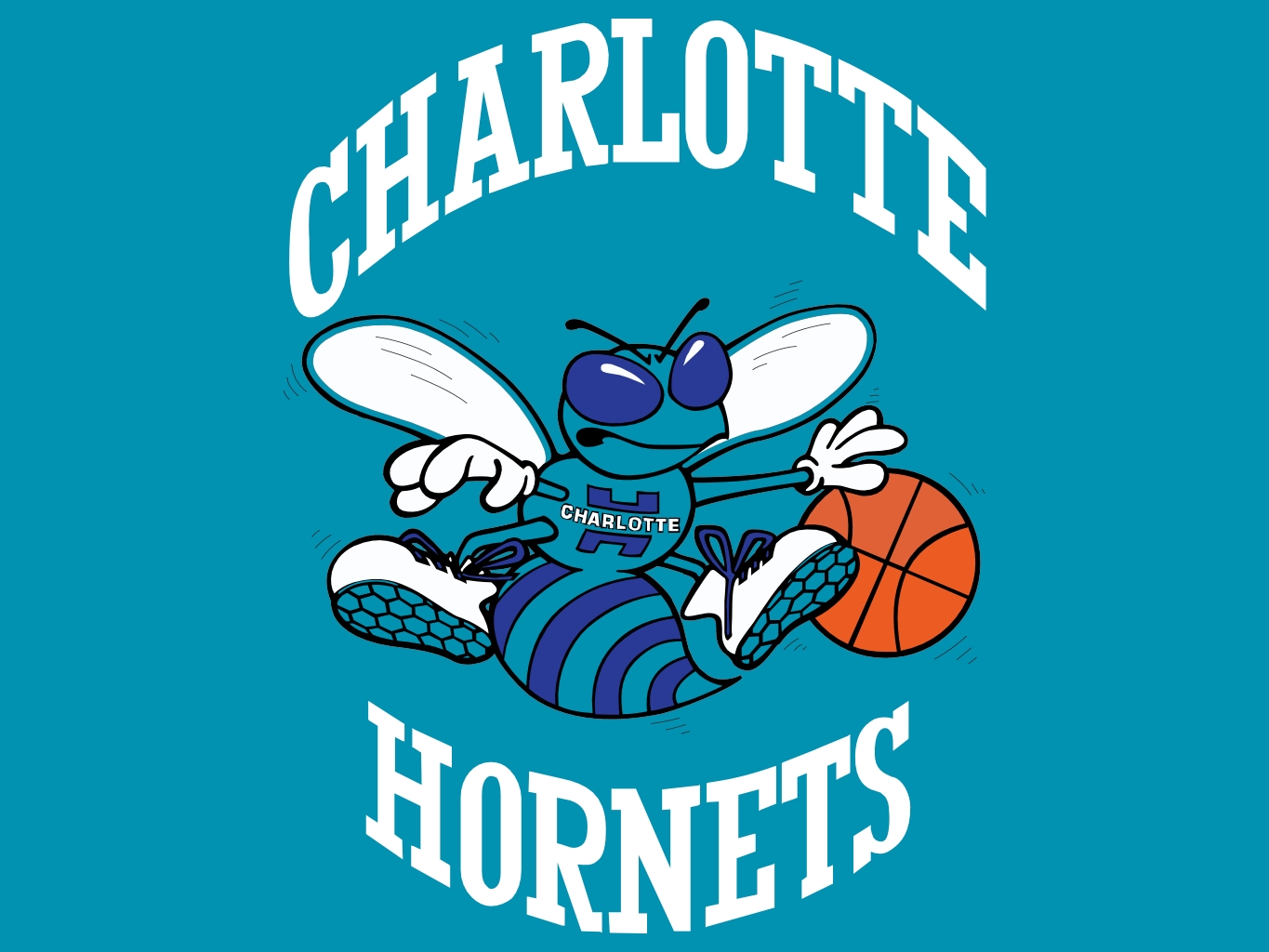 Charlotte Hornets Arena Illustration