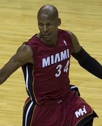 Ray Allen Heat 2014