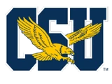 Coppin State Eagles