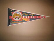 1994 Chicago Bulls-Chicago Stadium Pennant