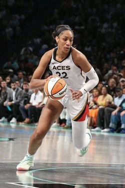 A'ja Wilson | Basketball Wiki | Fandom