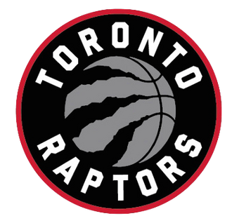 2008 toronto raptors roster