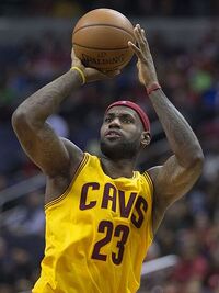 LeBron James 2014