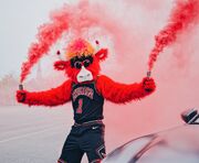 Benny the Bull