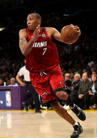 Shawn Marion Miami