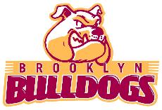 Bulldogs Fall in Overtime to Bloodhounds, 69-66 - Brooklyn College