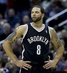 Deron Williams 2014