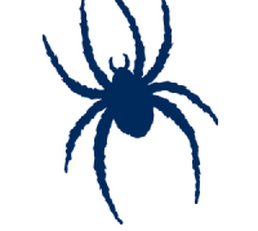 Cleveland Spiders - Wikipedia