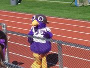 Ace the Skyhawk