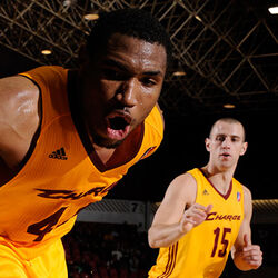 D league superstars new arrivals