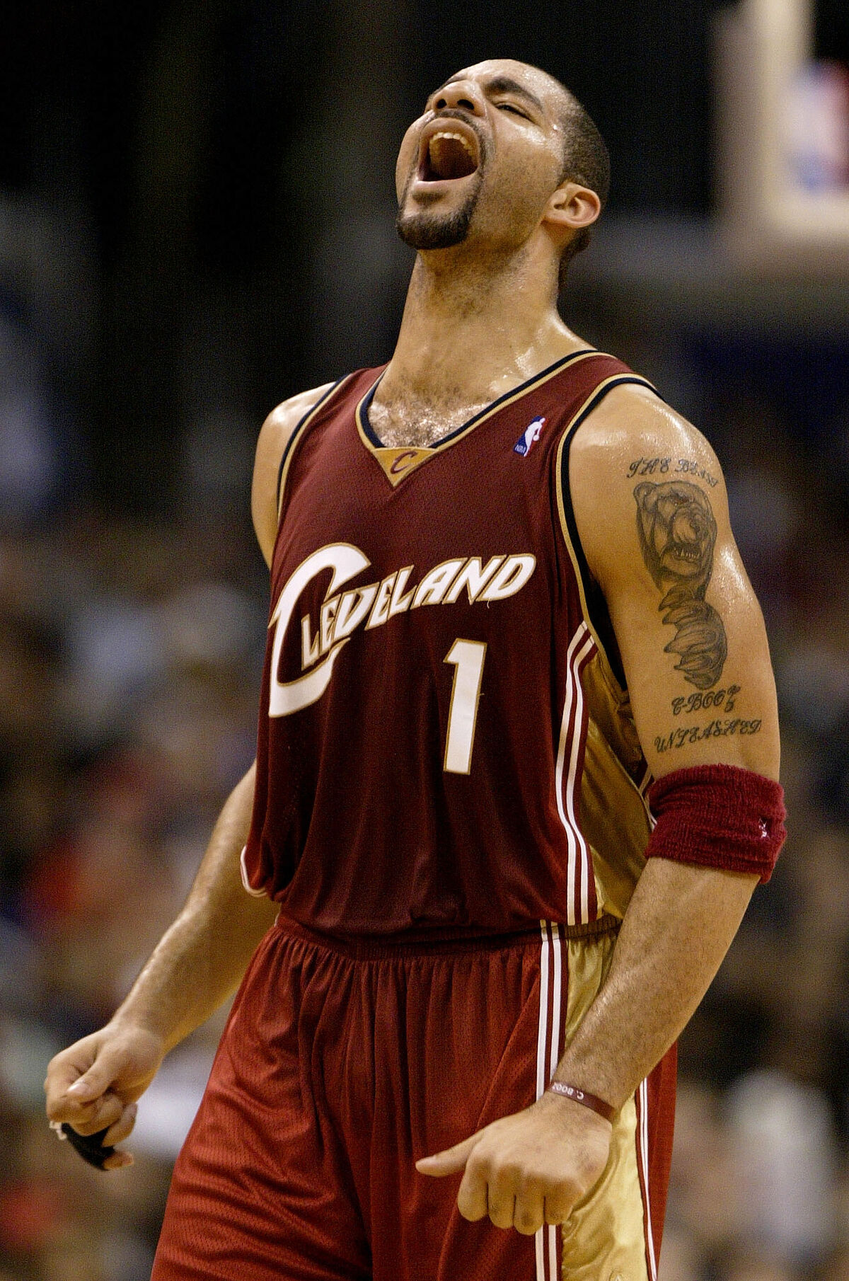 Carlos Boozer | Basketball Wiki | Fandom