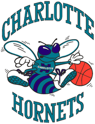 Charlotte Hornets - Wikipedia