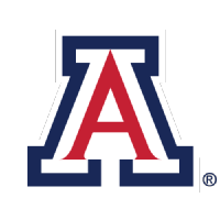 1999 arizona wildcats basketball roster