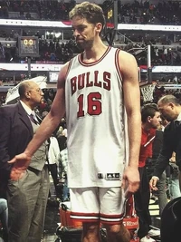 Gasol with the Bulls in 2015.