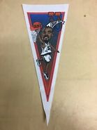 Grant Hill Dunking Pennant