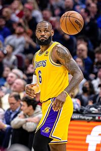 Nike LeBron James Shoe History Gallery Timeline Sneaker Guide #26 Nike LeBron James Shoe History Gallery Timeline Sneaker Guide