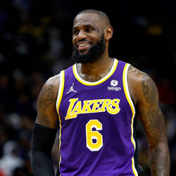 Lebron shoes wiki deals