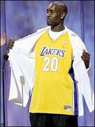 As a member of the Los Angeles Lakers (2003–2004).
