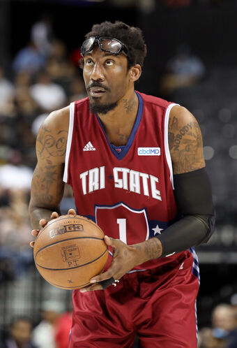 stoudemire amare