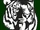 Salem Tigers