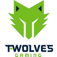 T-Wolves Gaminglogo square