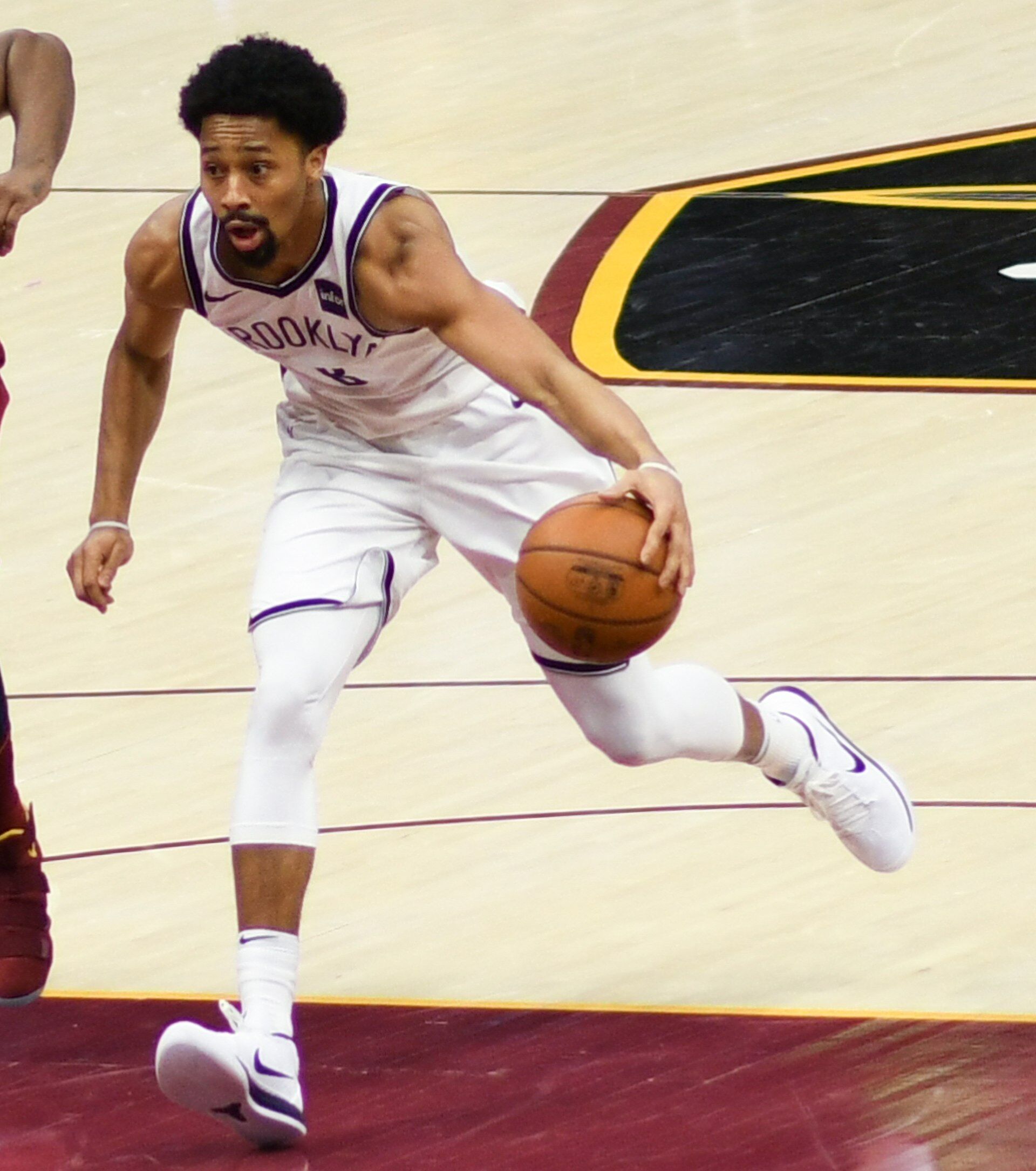 Dinwiddie Nets 2018.jpg