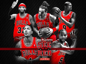 Chicago Bulls NBAsports Wiki Fandom