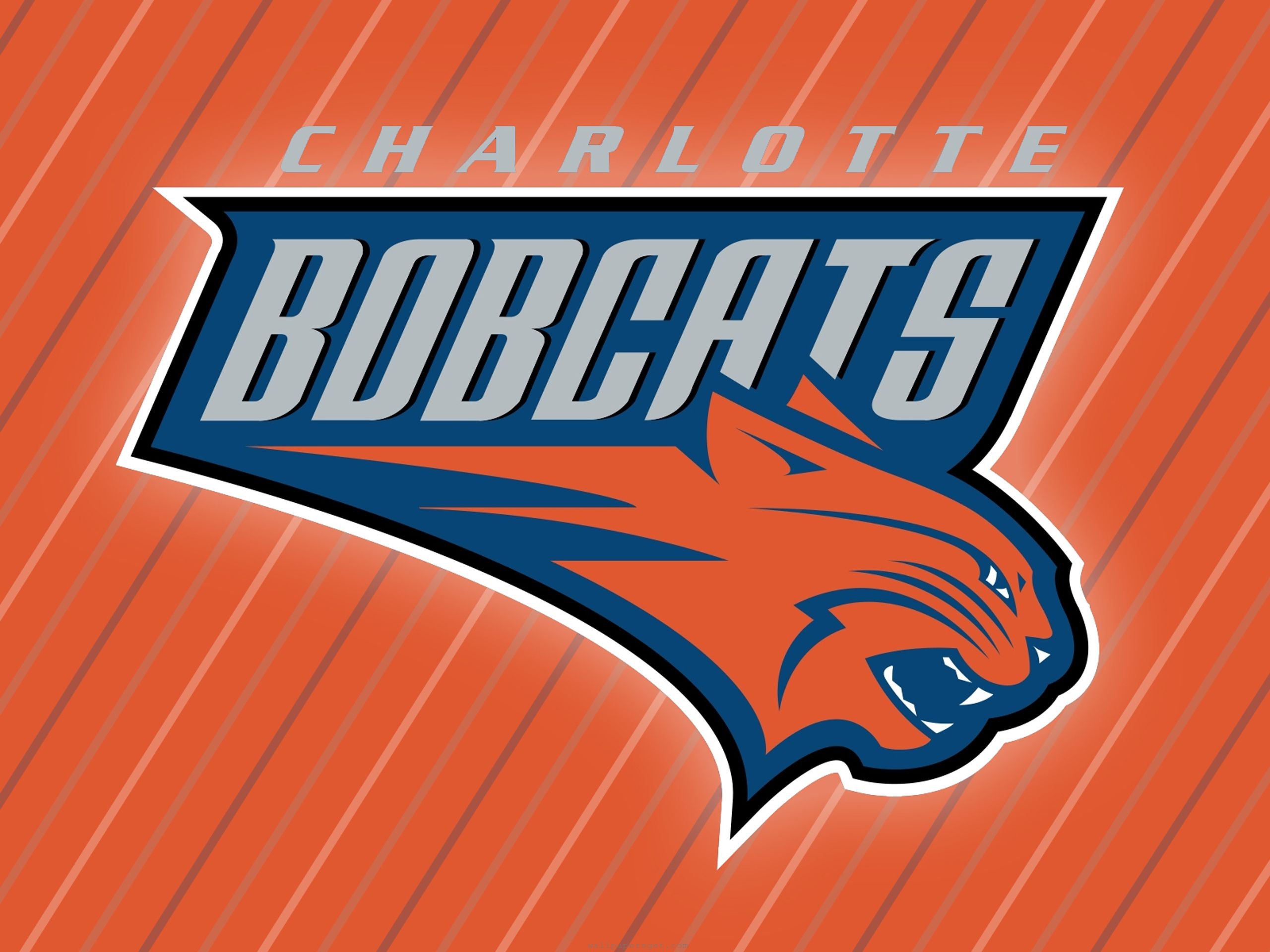 Bobcats basket discount