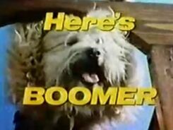 Here's Boomer .jpg