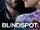 Blindspot