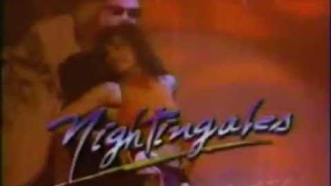 1989_"Nightingales"_commercial