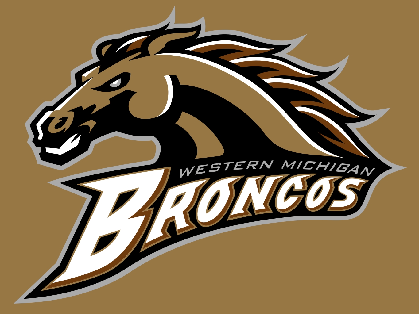 Western Michigan Broncos 