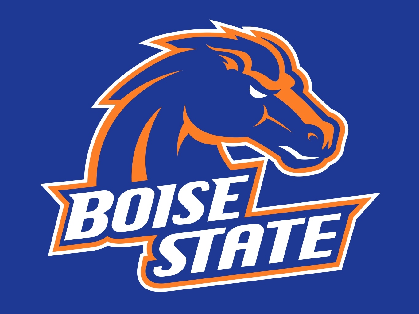 Boise Bronies Boise State Broncos Boise OG Idaho Nostalgic Vinyl Sticker University football BSU My little Pony