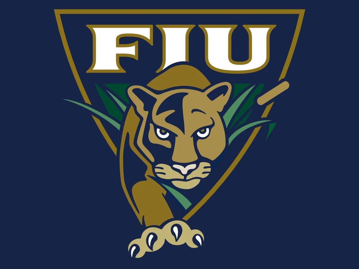 FLORIDA INTERNATIONAL PANTHERS visual data 3
