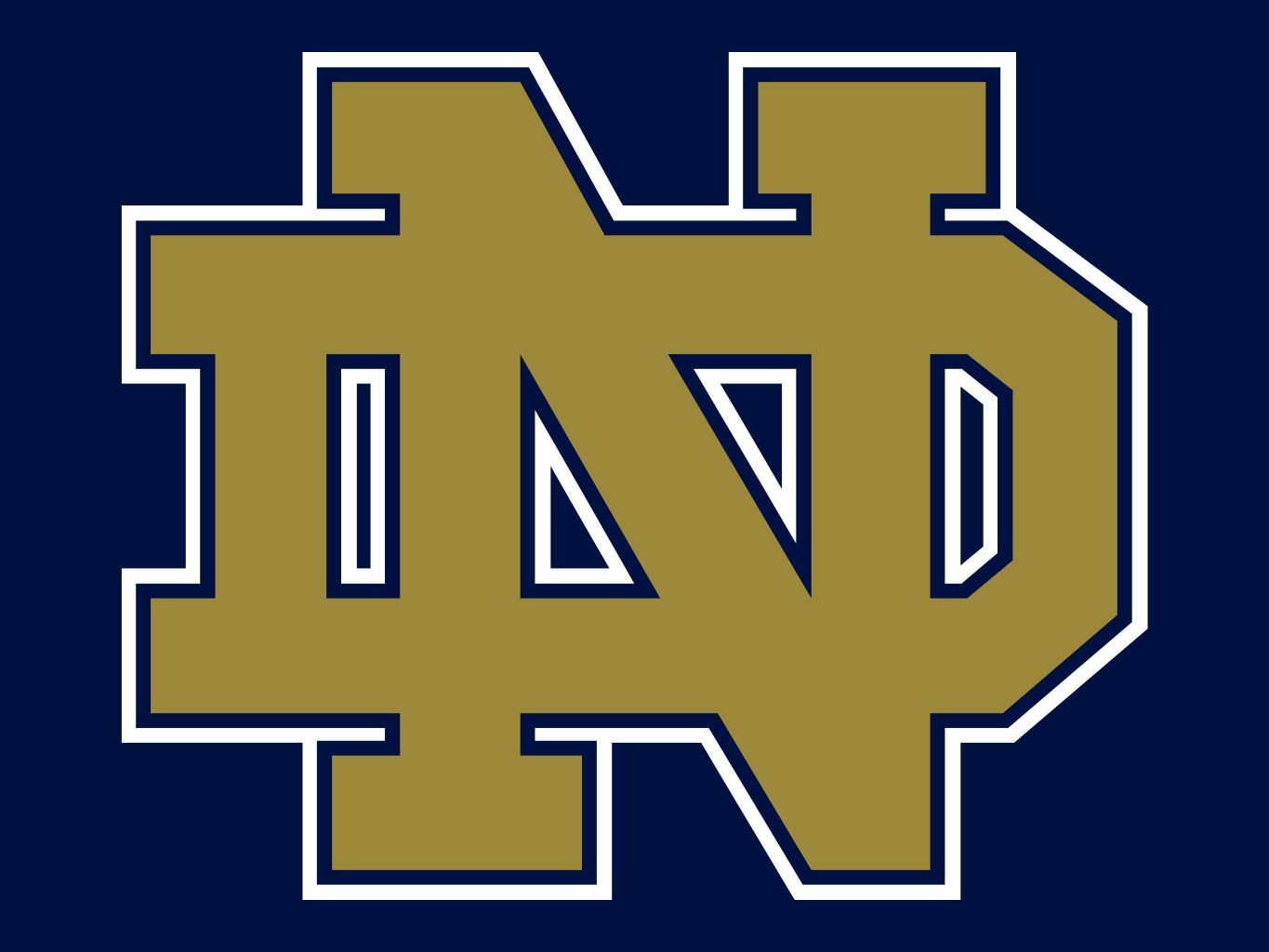 Notre Dame Fighting Irish.jpg