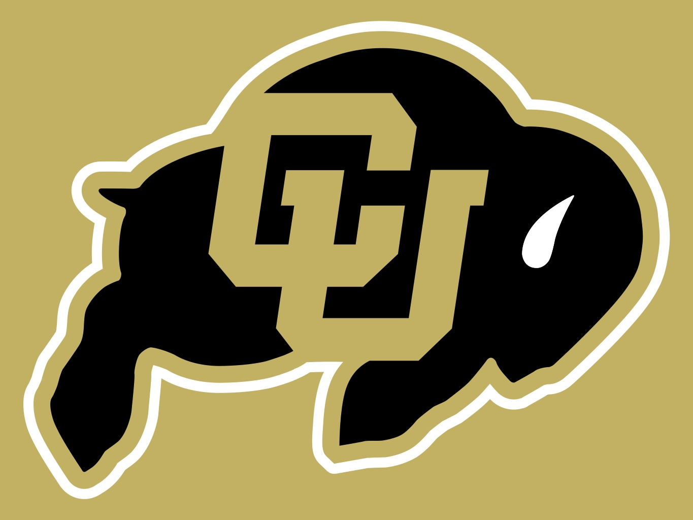 Colorado Buffaloes NCAA Sports Wiki Fandom