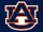 Auburn Tigers