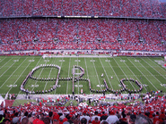 Script Ohio