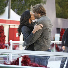 Densi Ncis Database Fandom