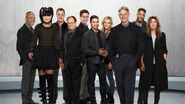 Gibbs Team (Season 14)