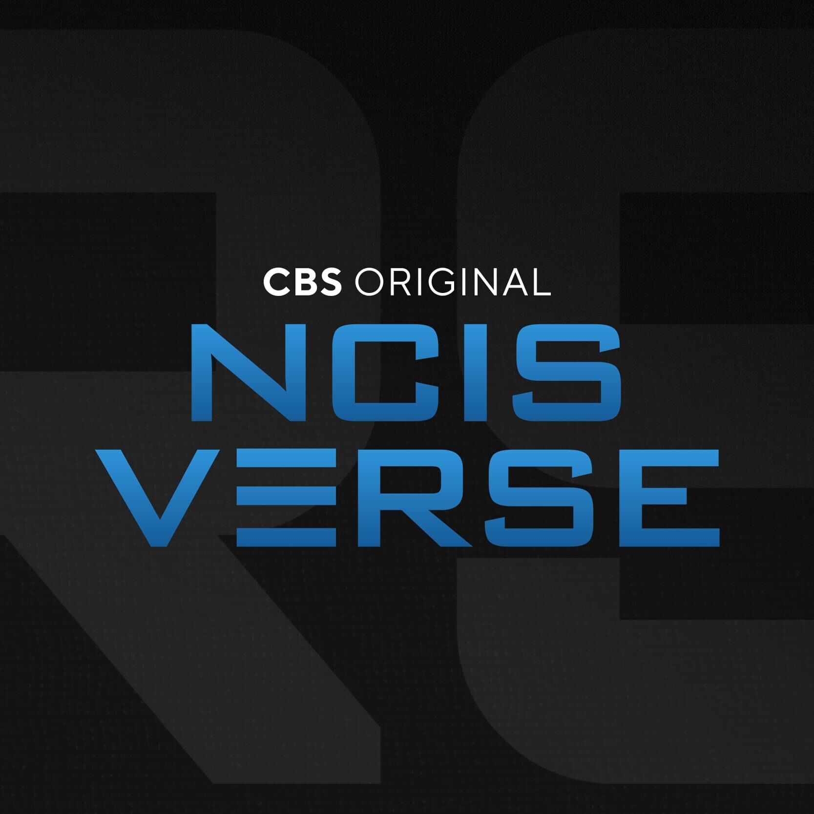NCISverse | NCIS Database | Fandom