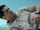 Pilot (NCIS: Hawaii episode)
