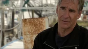Pride in the NCIS Season 11/NCIS: New Orleans backdoor pilot episode, "Crescent City Part 1".