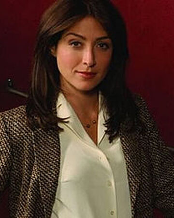 Caitlin Todd Navy Cis Wiki Fandom