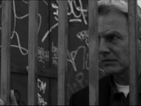 Stakeout (episode)